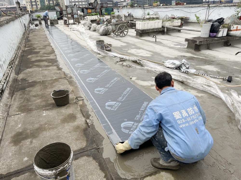 四川省人民代表大会常务委员会3号楼5楼屋顶防水工程